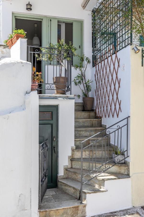 The Nest At Skopelos Exteriér fotografie